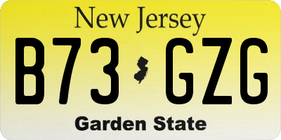 NJ license plate B73GZG