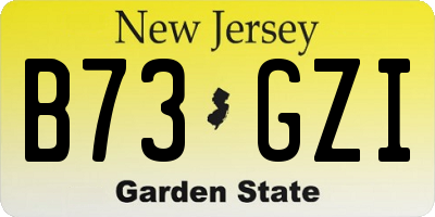 NJ license plate B73GZI