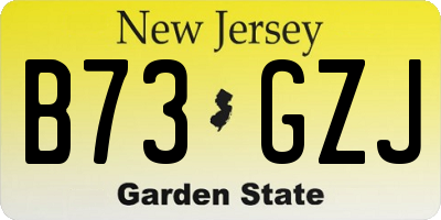 NJ license plate B73GZJ