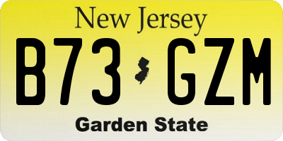 NJ license plate B73GZM