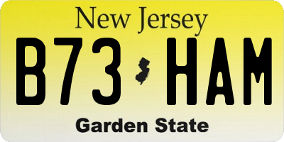 NJ license plate B73HAM