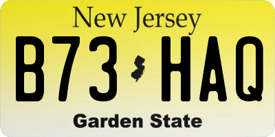 NJ license plate B73HAQ