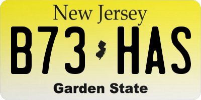 NJ license plate B73HAS