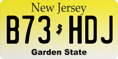 NJ license plate B73HDJ