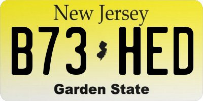 NJ license plate B73HED