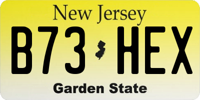 NJ license plate B73HEX