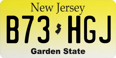 NJ license plate B73HGJ