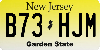NJ license plate B73HJM