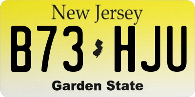 NJ license plate B73HJU