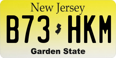 NJ license plate B73HKM