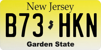 NJ license plate B73HKN