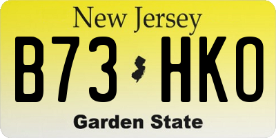 NJ license plate B73HKO