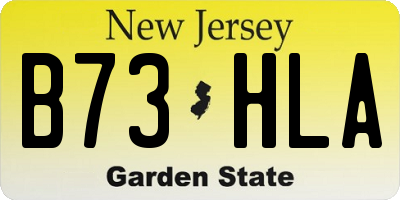 NJ license plate B73HLA