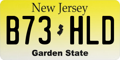 NJ license plate B73HLD