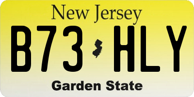 NJ license plate B73HLY