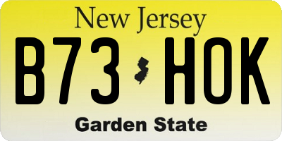 NJ license plate B73HOK