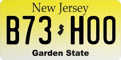 NJ license plate B73HOO