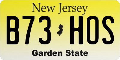 NJ license plate B73HOS