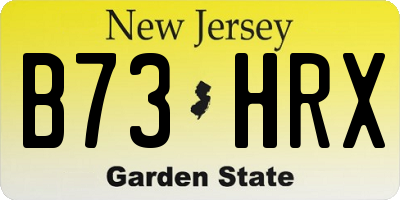 NJ license plate B73HRX