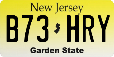 NJ license plate B73HRY