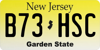 NJ license plate B73HSC