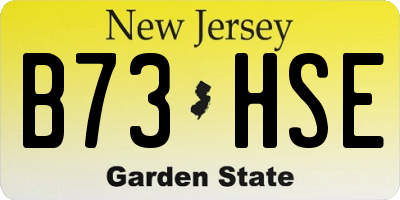 NJ license plate B73HSE