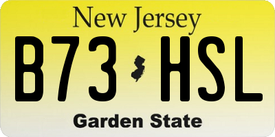 NJ license plate B73HSL