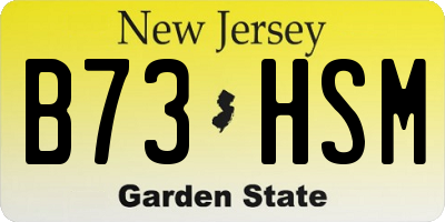 NJ license plate B73HSM