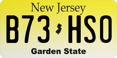 NJ license plate B73HSO