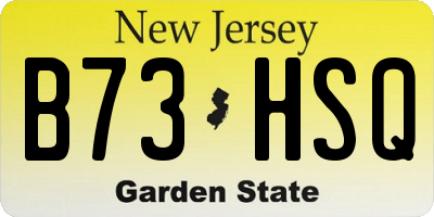 NJ license plate B73HSQ