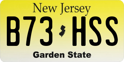 NJ license plate B73HSS