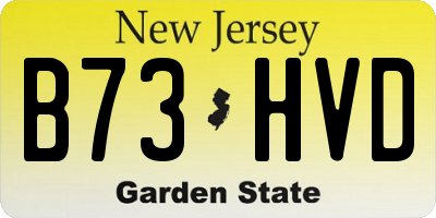 NJ license plate B73HVD