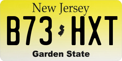 NJ license plate B73HXT