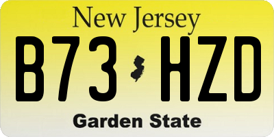 NJ license plate B73HZD