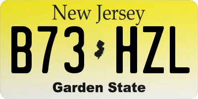 NJ license plate B73HZL