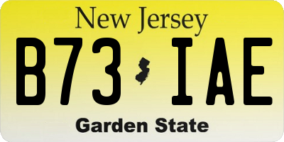 NJ license plate B73IAE