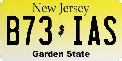 NJ license plate B73IAS