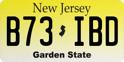 NJ license plate B73IBD