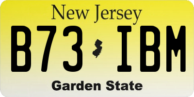 NJ license plate B73IBM