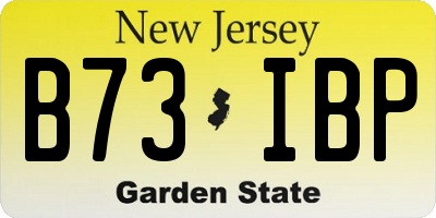NJ license plate B73IBP