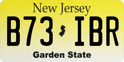 NJ license plate B73IBR