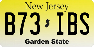 NJ license plate B73IBS