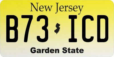 NJ license plate B73ICD