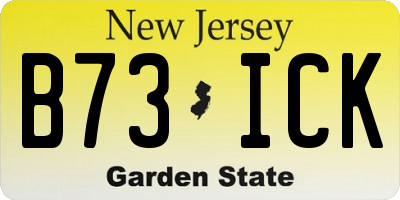NJ license plate B73ICK
