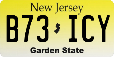 NJ license plate B73ICY