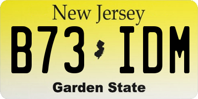 NJ license plate B73IDM