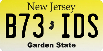 NJ license plate B73IDS