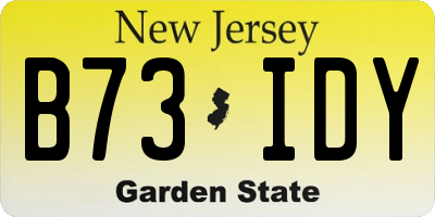 NJ license plate B73IDY