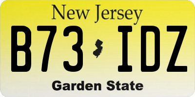 NJ license plate B73IDZ