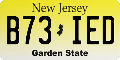 NJ license plate B73IED